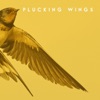 Plucking Wings - EP