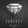 Perfect (feat. Show Banga) - Single album lyrics, reviews, download