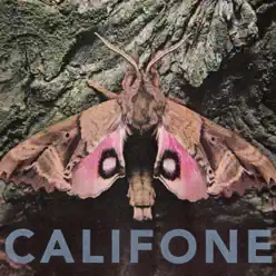 Insect Courage - EP - Califone Insect Courage - EP - Califone