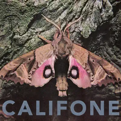 Insect Courage - EP - Califone