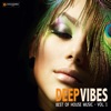 Deep Vibes: Best of House Music, Vol. 1