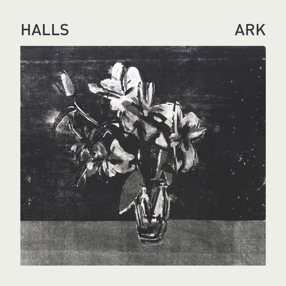 Cover artwork for Ark