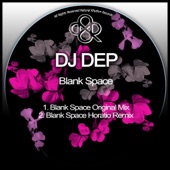 Blank Space (Horatio Remix) artwork