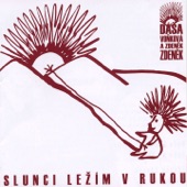 Slunci ležím v rukou artwork