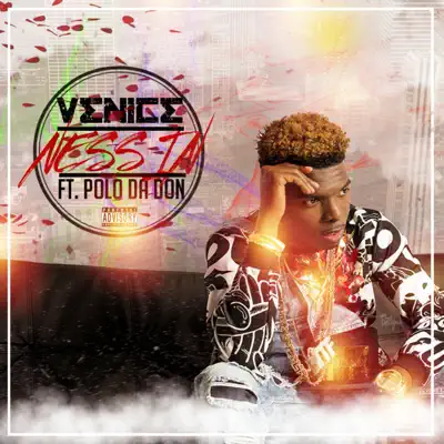 Nessin (feat. Polo Da Don) - Single - Venice