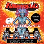 Ain't That Funkin' Kinda Hard on You? (We Ain't Neva Gonna Stop Remix) [feat. Kendrick Lamar & Ice Cube] by Funkadelic