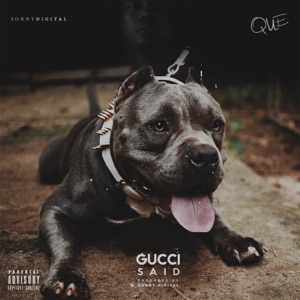Gucci Said - Single