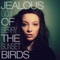 Goji Berry Sunset - Jealous of the Birds lyrics