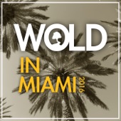 Wold in Miami 2016 artwork