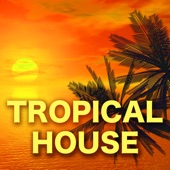 Tropical House – Best Electronic House Music Ever for Parties & Nightlife artwork