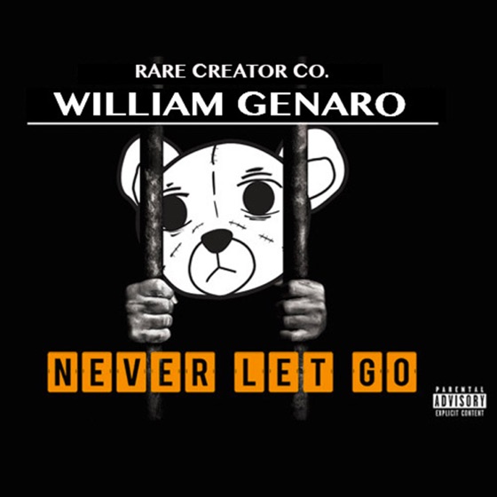 Cover artwork for Never Let Go