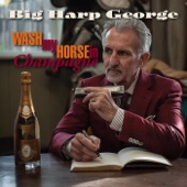 Wash My Horse in Champagne artwork