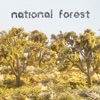 National Forest, 2003