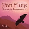 Mr. Tambourine Man - Pan Flute