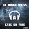Cats on Fire - DJ Johan Weiss lyrics