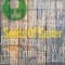 The Life (John 14:6, 1 John 5:11-12) - Seeds Family Worship lyrics