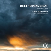 Beethoven: Symphony No. 9 (Piano Transcription by Franz Liszt, S. 464/9) artwork