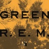 Green (25th Anniversary Deluxe Edition), 1988