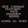 Gonna Go Down (feat. Nate Snakeboy Shiner) - Single