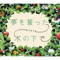 Daisuki!Happy end - Yuko Hara lyrics