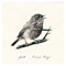 A Simple Thing (Bunched feat. Wencke Remix) - Fabs lyrics