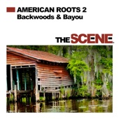American Roots 2: Backwoods & Bayou artwork