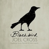 Blackbird (feat. Jonny Harmon & Mike Luzecky) artwork