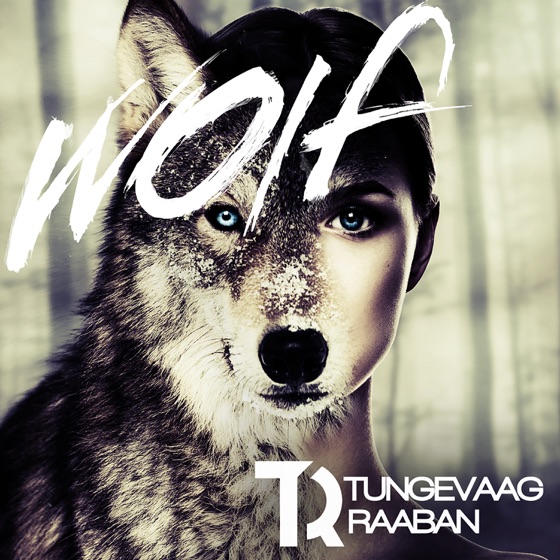 Cover artwork for Wolf