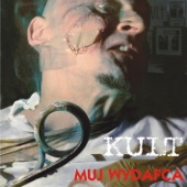 Muj Wydafca artwork