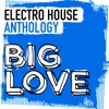 Big Love Electro House Anthology