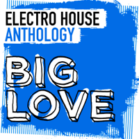 Various Artists - Big Love Electro House Anthology artwork