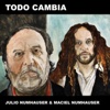 Todo Cambia - Single