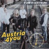 3 Uhr in der Fruah (I hoid Di Fest) [Radioversion] - Single