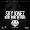 Shoud've Known Better (feat. Flawless Real Talk) - Sky Jonez lyrics