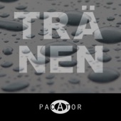 Tränen (feat. MarCielo) [Ambient Mix] artwork