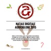 Natale Digitale Audioglobe 2015