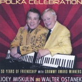 Polka Celebration artwork
