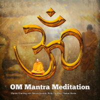 Acerting Art - Om Mantra Meditation artwork
