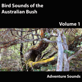 Bird Sounds of the Australian Bush, Vol. 1 - Adventure Sounds