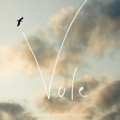 Vole (2 générations chantent pour la 3ème) - Single - Alain Souchon