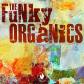 The Funky Organics - Mojowinder