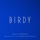 Birdy-Wild Horses (Matrix & Futurebound Remix)