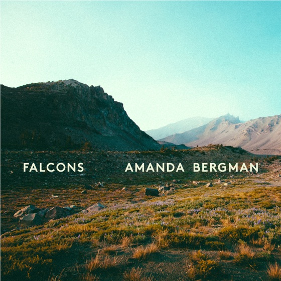 Cover artwork for Falcons