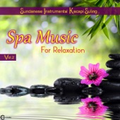 Spa Music for Relaxation, Vol. 2 artwork