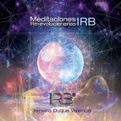 Meditaciones Irb Re-Evolucionarias artwork