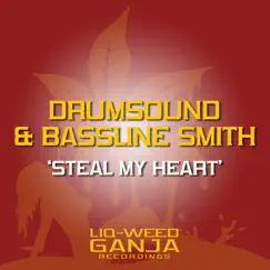 Steal My Heart - Single by Drumsound & Bassline Smith album reviews, ratings, credits