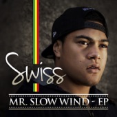 Mr. Slow Wind - EP artwork