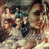 Linda (Remix) [feat. Ozuna, Juanka, Lionexx & Sammy & Falsetto] artwork