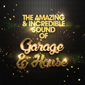 The Amazing & Incredible Sound of Garage & House - Verschillende artiesten