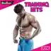 Training Hits 2016 album cover